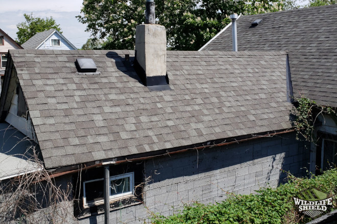 Hamilton Connected Roofs